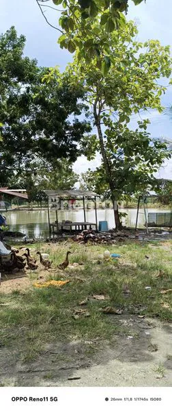 image LAHAN KOSONG DI BATANG KUIS- PANTAI LABU (4)