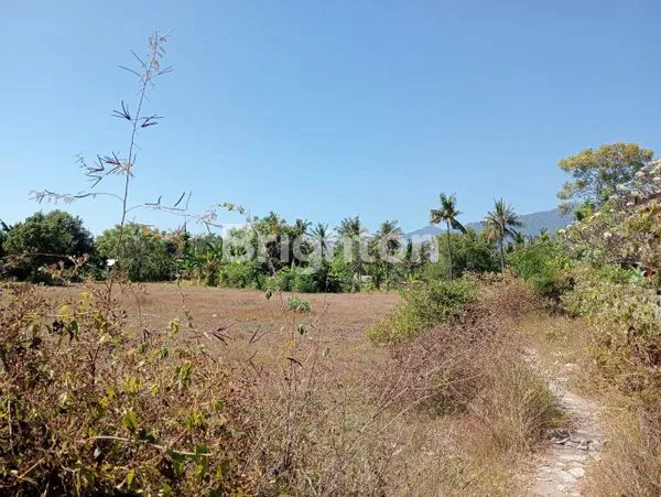 image FORSALE TANAH 23,380 M2 PINGGIR PANTAI CELUKAN BAWANG, PATAS, GEROKGAK, BULELENG, BALI.\\\\\\\\N (5)
