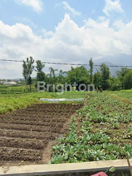 image TANAH STRATEGIS KOTA BATU MALANG DESA SUMBEREJO PINGGIR JALAN UTAMA (4)