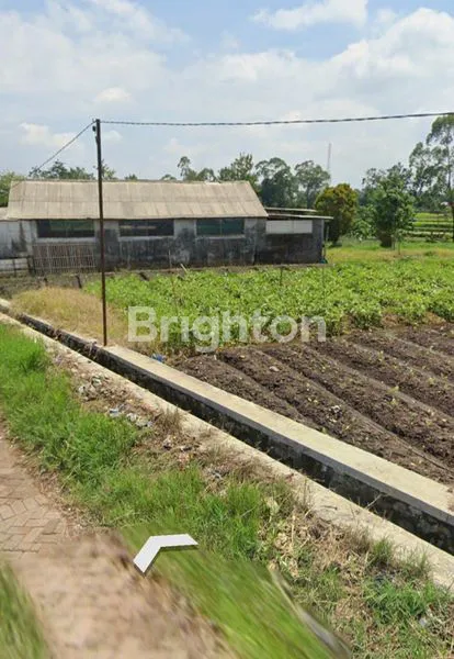 image TANAH STRATEGIS KOTA BATU MALANG DESA SUMBEREJO PINGGIR JALAN UTAMA (2)