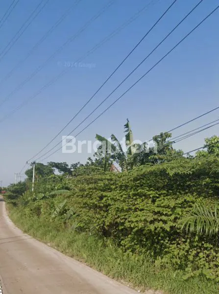 TANAH LUAS 5 HEKTAR PINGGIR JALAN BANTUAS