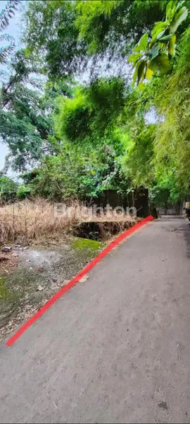 LAHAN EMAS GUNUNG PATI 202M²