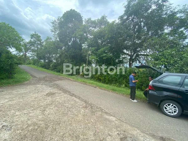 image *KAPAN LAGI ..TANAH KEBUN JATI 3,65 HEKTAR DI PEGUNUNGAN MELAYA JEMBRANA – SHM READY* (5)