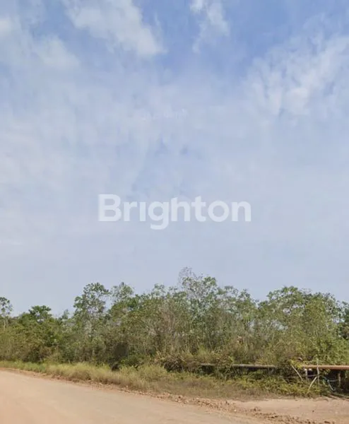 image TANAH LUAS 20 HEKTAR DI SAMBOJA (3)