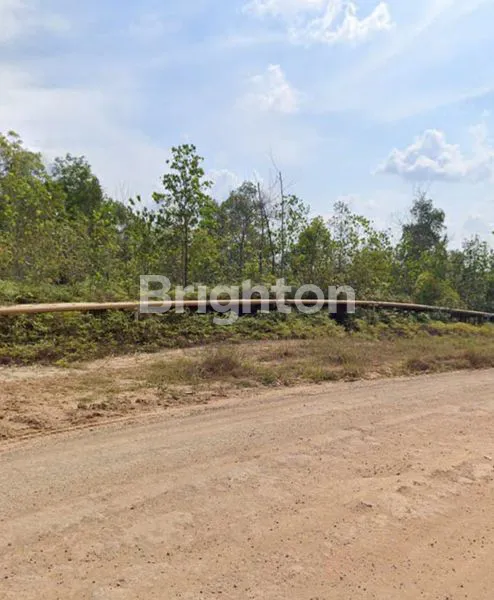 image TANAH LUAS 20 HEKTAR DI SAMBOJA (1)