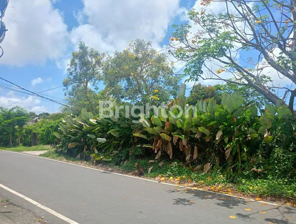 image TANAH PREMIUM 1.000 M2, SIAP BANGUN, DAPAT 2 AKSES JALAN, STRATEGIS DI TAMAN GIRI, BENOA (2)