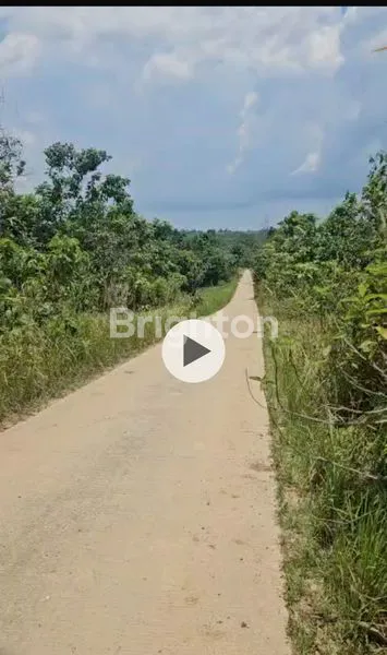 image TANAH LUAS 11.170M² DI AKSES TPK KARIANGAU (4)