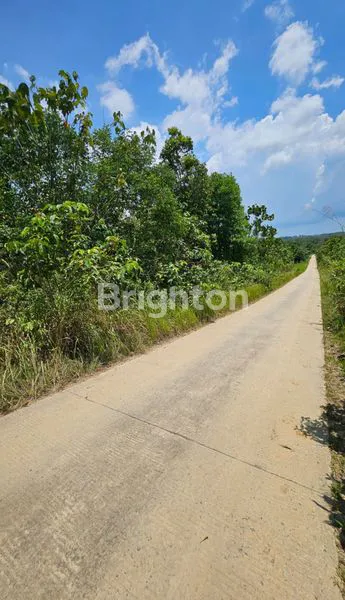 image TANAH LUAS 11.170M² DI AKSES TPK KARIANGAU (5)