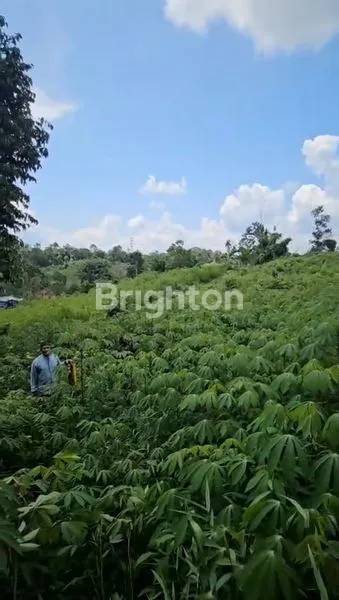 image TANAH LUAS 26.600M² DI AKSES TPK KARIANGAU (3)