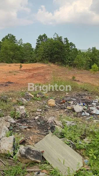 image LAHAN STRATEGIS 1 HEKTAR DI PROJAKAL KARIANGAU (2)