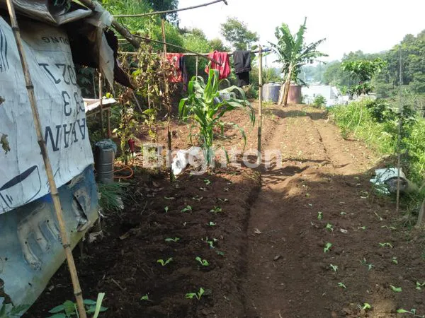 image INVESTASI TANAH LEMBANG 3.799M² VIEW KOTA (5)