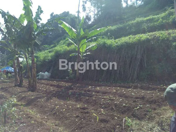 image INVESTASI TANAH LEMBANG 3.799M² VIEW KOTA (7)