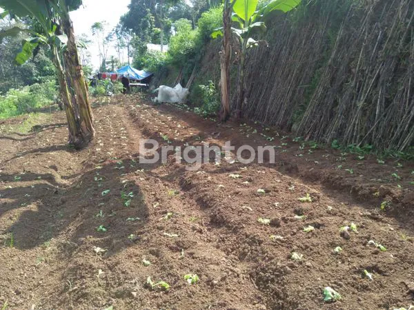 image INVESTASI TANAH LEMBANG 3.799M² VIEW KOTA (6)