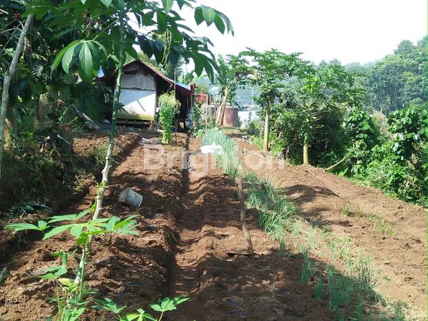 image INVESTASI TANAH LEMBANG 3.799M² VIEW KOTA (4)