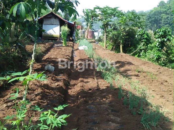 image INVESTASI TANAH LEMBANG 3.799M² VIEW KOTA (3)