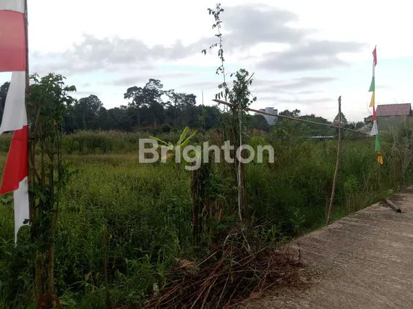 image TANAH KAVLINGAN ALAMANDA (1)