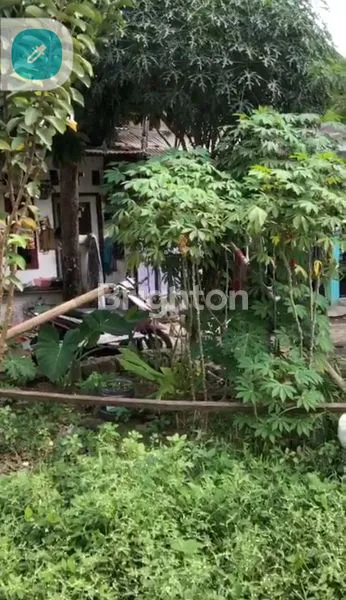 image TANAH MURAH LUAS 343 M SUDAH DI PONDASI DI KP. IRIAN TELUK PUCUNG DEKAT WISMA ASRI BEKASI UTARA (4)