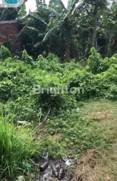 image TANAH MURAH LUAS 343 M SUDAH DI PONDASI DI KP. IRIAN TELUK PUCUNG DEKAT WISMA ASRI BEKASI UTARA (2)