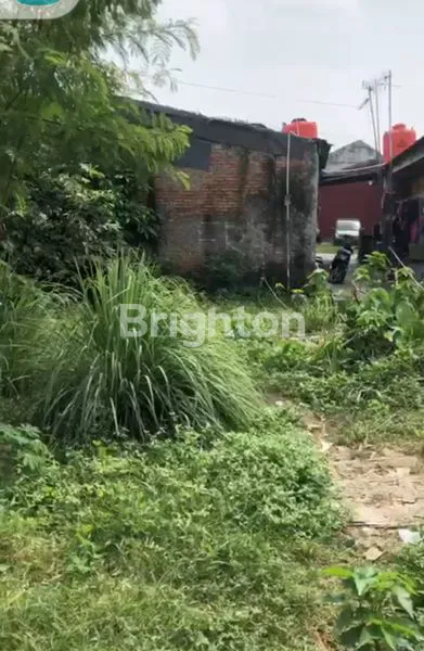 image TANAH MURAH LUAS 343 M SUDAH DI PONDASI DI KP. IRIAN TELUK PUCUNG DEKAT WISMA ASRI BEKASI UTARA (5)