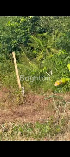 image TANAH SIAP DI BANGUN DI JUAL (3)