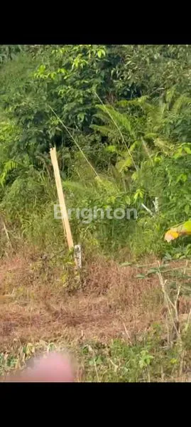 image TANAH SIAP DI BANGUN DI JUAL (1)