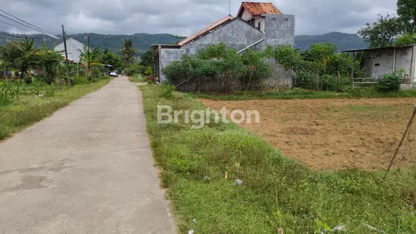 image TANAH SELUAS 773 M² DEKAT PANTAI PANCER DOOR (7)