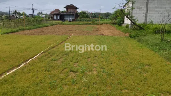 image TANAH SELUAS 773 M² DEKAT PANTAI PANCER DOOR (2)