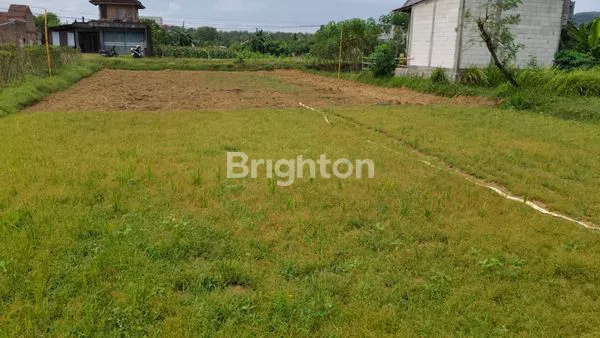 image TANAH SELUAS 773 M² DEKAT PANTAI PANCER DOOR (3)