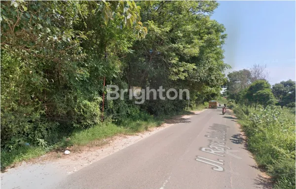 TANAH TEPI JALAN UTAMA RAYA BULU TUBAN COCOK UNTUK SPBU MAUPUN USAHA TAMBANG