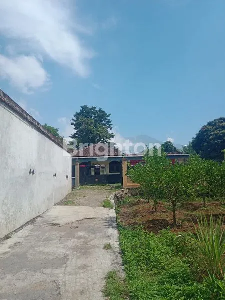 image RUMAH 3 KT PEKARANGAN LUAS KARANGPLOSO (2)