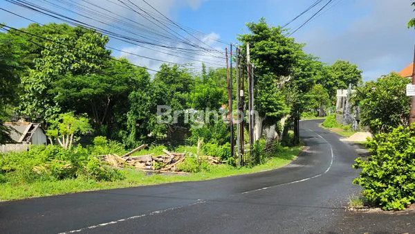 DIJUAL /DISEWA TANAH RATA PINGGIR JALAN  UNGASAN