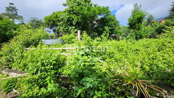 image DIJUAL /DISEWA TANAH RATA PINGGIR JALAN  UNGASAN (3)