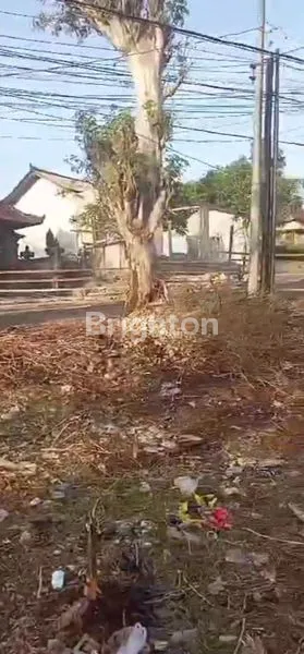 image DIJUAL /DISEWA TANAH RATA PINGGIR JALAN  UNGASAN (6)