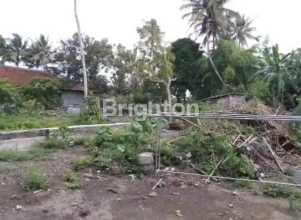 image PEKARANGAN SIAP BANGUN, PAKEM. (3)