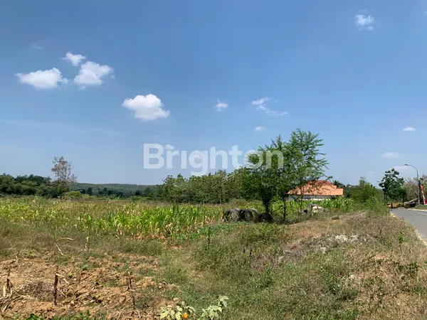 image TANAH TEPI JALAN UTAMA COCOK UNTUK SPBU MAUPUN USAHA TAMBANG RAYA BULU TUBAN (6)