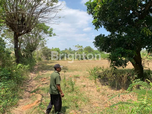 image TANAH TEPI JALAN UTAMA RAYA BULU TUBAN COCOK UNTUK SPBU MAUPUN USAHA TAMBANG (2)