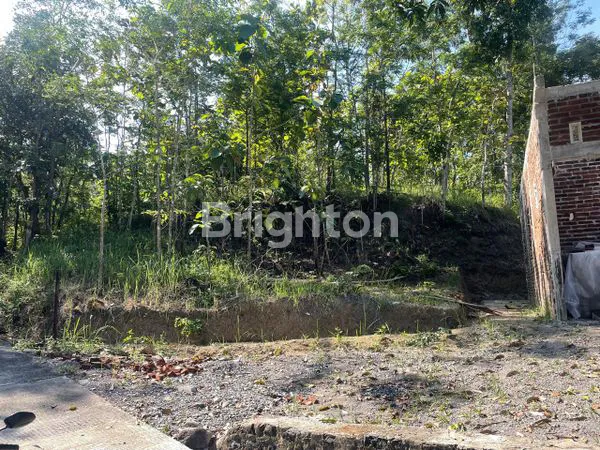 image TANAH MURAH SEMARANG  (3)