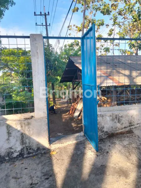 image PABRIK PASURUAN PURWODADI DEKAT TOL SURABAYA (8)