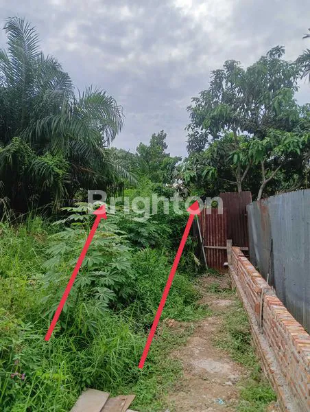 image DIJUAL TANAH  (3)