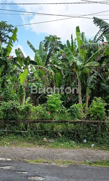 image TANAH STRATEGIS DI ANTASURA PEGUYANGAN DENPASAR UTARA (1)