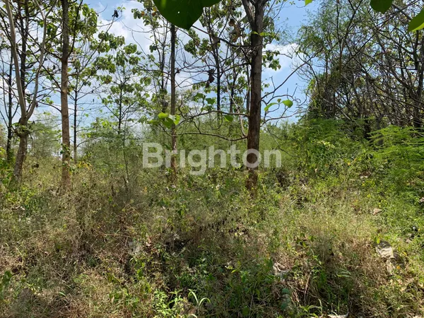 image TANAH TEPI JALAN UTAMA RAYA BULU TUBAN COCOK UNTUK SPBU MAUPUN USAHA TAMBANG (3)