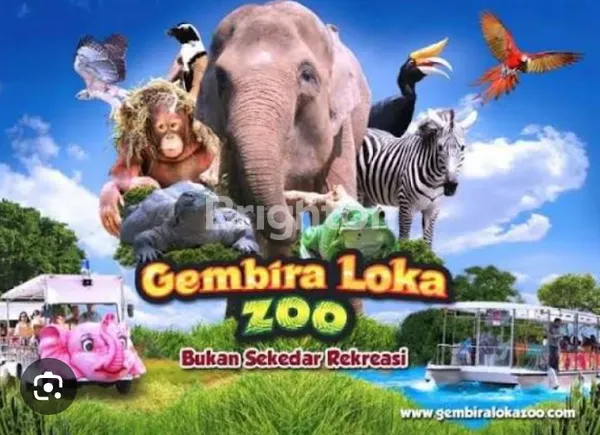 image DISEWAKAN GUDANG BANGUNAN KOMERSIL STRATEGIS LOKASI BANGUNTAPAN BANTUL YOGYAKARTA (3)