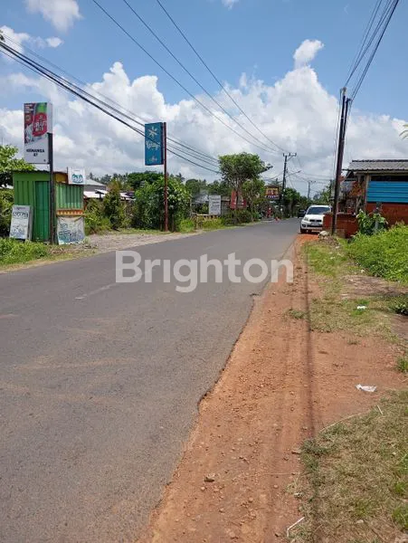 image TANAH LUAS 1300M² DI ABIANSEMAL BALI (6)