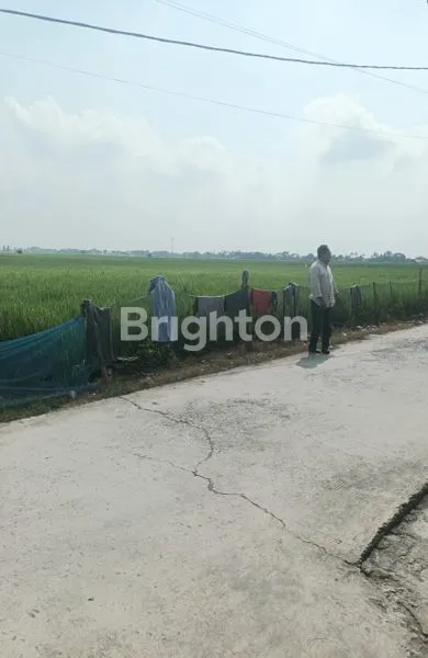 image TANAH LUAS 4417M² DI SUKAWANGI (5)