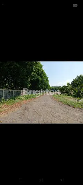 image DIJUAL TANAH BONUS KANTOR 2LT (7)