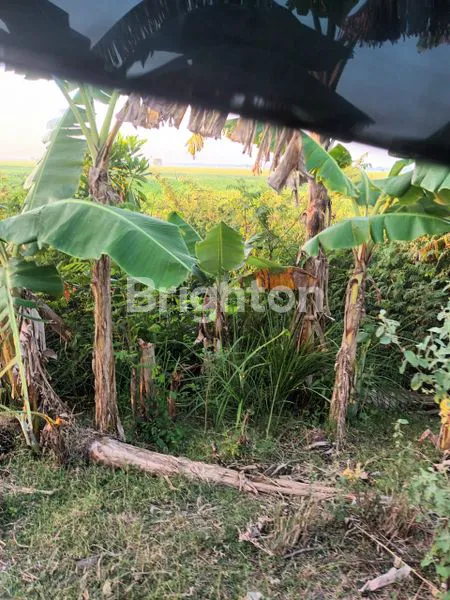 TANAH DATAR 1701M² AKSES KONTAINER