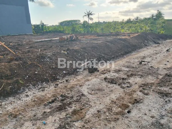 image TANAH BEREMBENG BAJERA BLOK C-G (3)