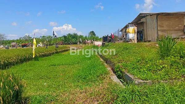 image SEWA TANAH 20 TAHUN SEMINYAK  (3)