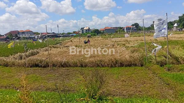 SEWA TANAH 20 TAHUN SEMINYAK