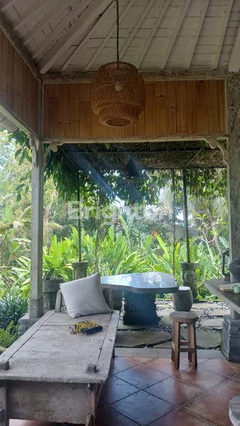 image VILLA 3 BEDROOM (4)